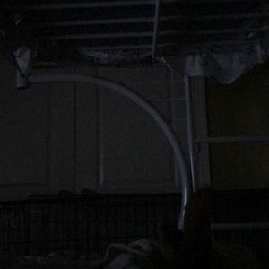 Meet your Posher, Jayden